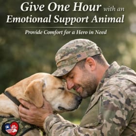 1 Hour with Emotional Support Animal item
