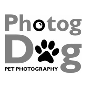 Lasting Memories: Custom Dog Portrait Experience item