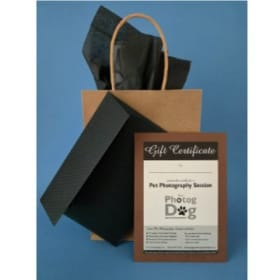 Lasting Memories: Custom Dog Portrait Experience item