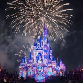 Disney World Wonder item