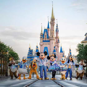 Disney World Wonder item