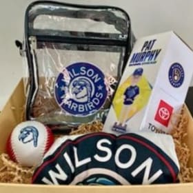 Wilson Warbirds Basket item