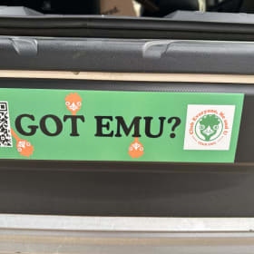 “Got EMU” Bumper Sticker item