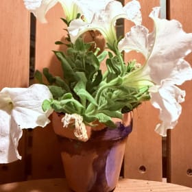 Margaret item