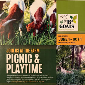 B3 Goats Picnic & Playtime item