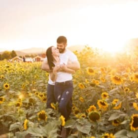 Family Fun: Sunflower Festival item