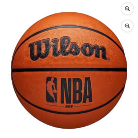 Basketball Goal/Balls item