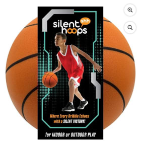 Basketball Goal/Balls item