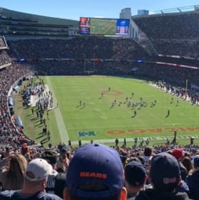 BEAR DOWN! item