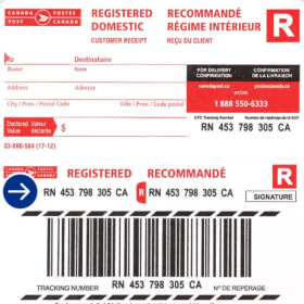 Mail: Registered / Recommandé (au Canada) item
