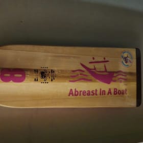 AIAB Paddle Sticker (Horizontal) - 7.5" x 4" item