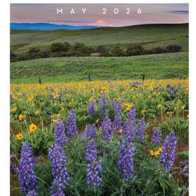 Wildflower Festival Poster item