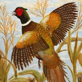 Pheasant - Original Painting item