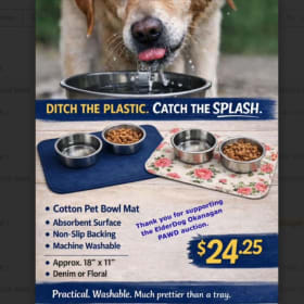 Spoil Your Pup – Cozy Blanket & Stylish Placemat! item