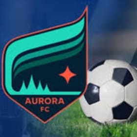 Minnesota Aurora Fan Gift Bag (Signed Merch!) item