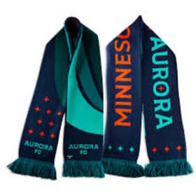 Minnesota Aurora Fan Gift Bag (Signed Merch!) item