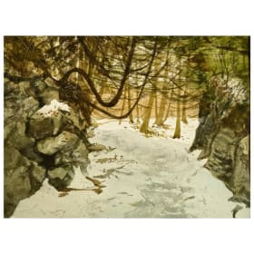 Trail at Pulp Mill Bridge by Beth Bluestein-née Svenningsen item