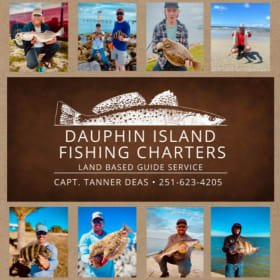 Dauphin Island Fishing item
