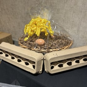 Operation: Golden Egg Drop item