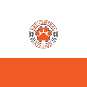 Paws and Play Bundle item