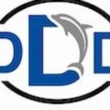 DDD Car Magnet item