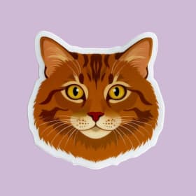 Orange Tabby - Sticker item