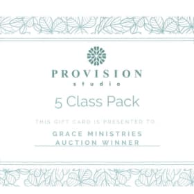 5-Class Pack at Provision Studio item