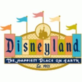 Magical Experience at Disneyland - 3 Admission Tickets item