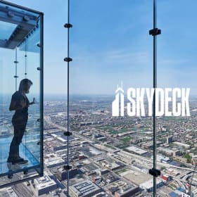 🐾 Paws & See Chicago: A Tail-Wagging City Adventure 🐕🌆 item