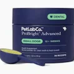 Adventure Escape Basket 🐾🎉 item