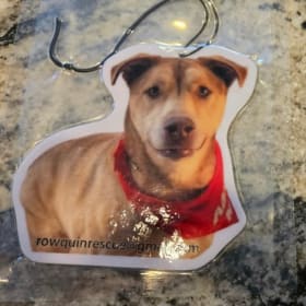 Bear Air Freshener item