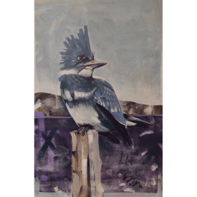 'Belted Kingfisher, 2026' (Unframed) by Calvin Coles item