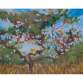 'Beneath Open Skies' (Framed) by Erica Messing item