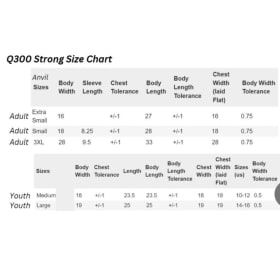 Q300 Strong T-Shirt item