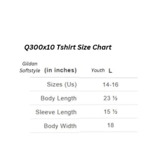 Q300 x10 T-Shirt BLUE item
