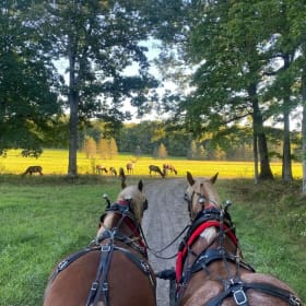 Horse Drawn Wagon Ride item
