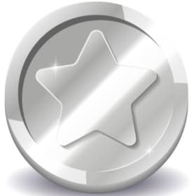 Platinum Sponsor item