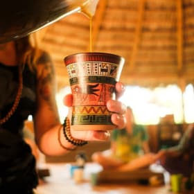 8 Day San Pedro Retreat at Ananda Lodge - Costa Rica item