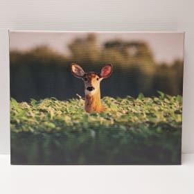 HH21 - Deer Print on Canvas item