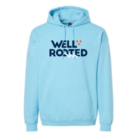 EXTRA LARGE - Sky Blue Hoodie - Well Rooted Spelled Out item