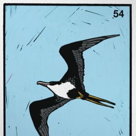 "Ka 'Iwa" 16"x20" Canvas print by Carlos Acevedo item