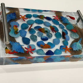Ms Woodyard's Treasures of the Sea: Resin Tray & Coasters item