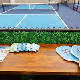 #13-Private Pickleball Lesson & Selkirk Bag item
