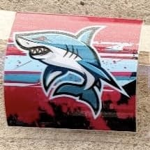 Youth Stickers- Shark item