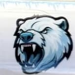Youth Stickers- Polar Bear item