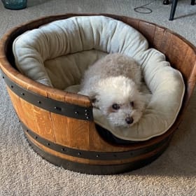 Wine Barrel Dog Bed MUST BE PICKED UP item