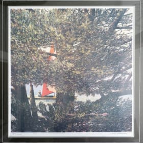 Thomas DeVany Forrestall (Boat seen through the trees) item