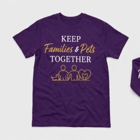 T-shirt item