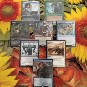 CEDH NW - "Cheshire" Card Bundle! item