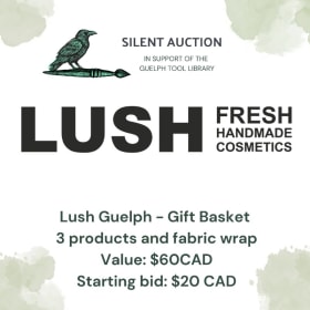 Lush Gift Basket item
